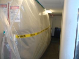 asbestos testing service chandler Arizona Environmental Specialists