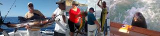 fishing club chandler Fiesta Sportfishing & Diving