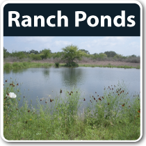 pond contractor chandler Seepage Control, Inc.