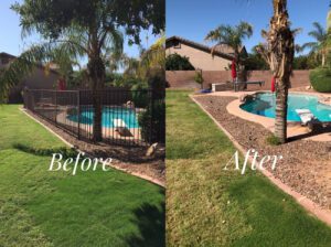 Pool Fence Removal