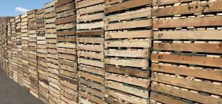 pallet supplier chandler Southwest Forest Products Inc