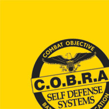 self defense school chandler COBRA Self Defense of East Valley AZ