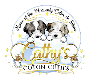 dog breeder chandler Cathy's Coton Cuties