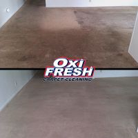carpet cleaning service chandler Oxi Fresh Carpet Cleaning
