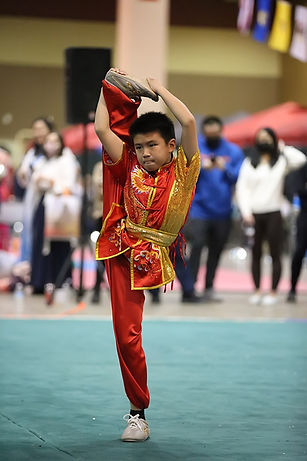 tai chi school chandler Phoenix Wushu Academy