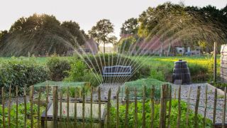 lawn sprinkler system contractor gilbert Greener Grass Irrigation Repair