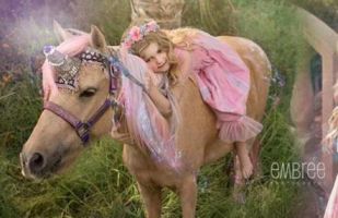 pony ride service gilbert Charming Pony Parties