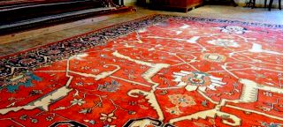 oriental rug store gilbert Moe Tavassoli Oriental Rugs