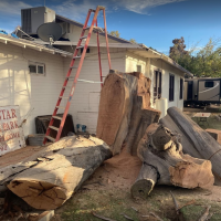 tool grinding service gilbert JC’S Tree Removal & Stump Grinding