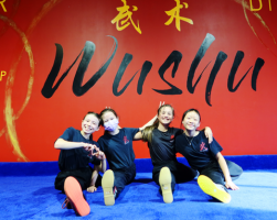 kung fu school gilbert Phoenix Wushu Academy