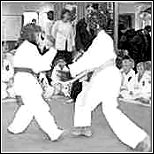 karate club gilbert DePalma's TEAM USA Martial Arts