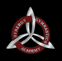 gymnasium school glendale Synergy Gymnastics Academy