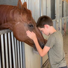 horse riding school glendale Girard Training Stables