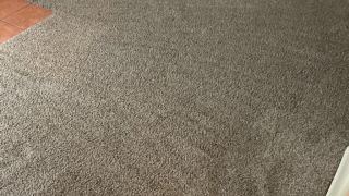 carpet cleaning service glendale Craig the carpet cleaner
