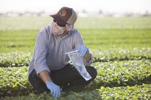 Food and Farm Worker Safety