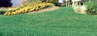 irrigation equipment supplier glendale Sprinkler World