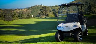 golf cart dealer glendale Horner Group, LLC
