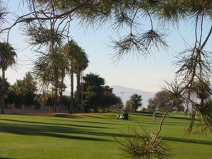 golf course glendale Peoria Pines Golf & Restaurant
