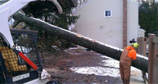 snow removal service mesa New Heights Tree Service LLC