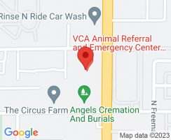 emergency veterinarian service mesa VCA Animal Referral and Emergency Center of Arizona
