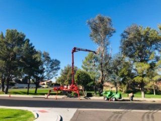 Tree Removal — Lift in Mesa, AZ