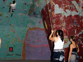 rock climbing gym mesa Phoenix Rock Gym