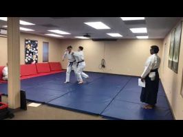 aikido school mesa Essential Aikido