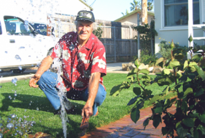 Pop Up Sprinkler Heads Are One of the Most Common Issues With Irrigation Systems