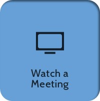 Watch a Meeting