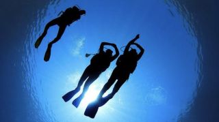 dive shop peoria Professional Diving Addicts, LLC - Private Scuba Instructor