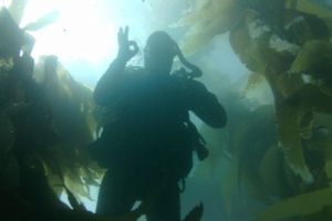 dive shop peoria Inland Water Divers