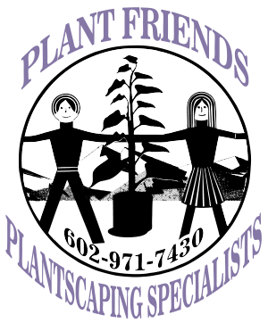 interior plant service peoria Plant Friends
