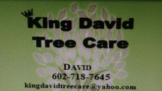 tree service peoria King David Tree Care