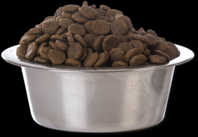 animal feed store peoria Feed Right Pet Food Inc.