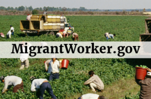 Migrant Workers' Rights