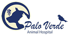 veterinarians phoenix Palo Verde Animal Hospital