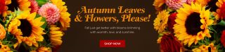 florist courses online phoenix Community Florist