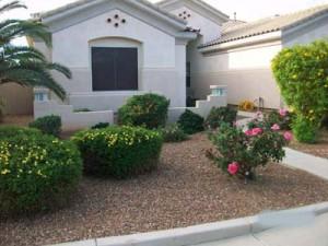 landscaping courses in phoenix MasterAZscapes LLC