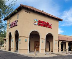 veterinary clinics in phoenix Phoenix Mountain Animal Hospital
