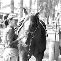 horse riding lessons phoenix Girard Training Stables