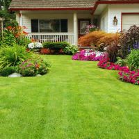 snow removal service scottsdale Chop Chop Landscaping