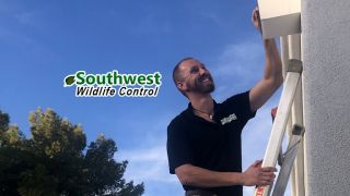 animal control service scottsdale Southwest Wildlife Control