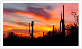 Sonoran Naturopathic Center is located in the beautiful city of Scottsdale, Arizona. We invite you to make an appointment and start feeling better today.