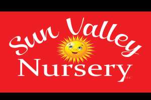 plant nursery scottsdale Sun Valley Nursery