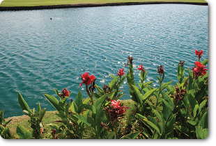 pond contractor scottsdale Seepage Control, Inc.