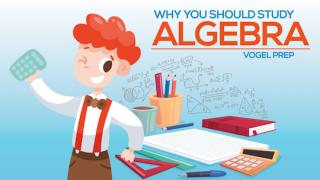 Why You Should Study Algebra