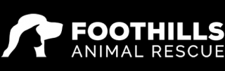 animal shelter scottsdale Foothills Animal Rescue