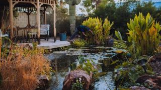pond contractor scottsdale The Pond Gnome - Construction Yard