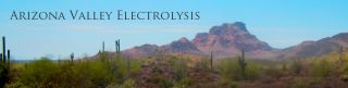 electrolysis hair removal service scottsdale SCC Electrolysis and Permanent Makeup