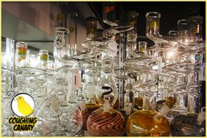 hookah store scottsdale Coughing Canary